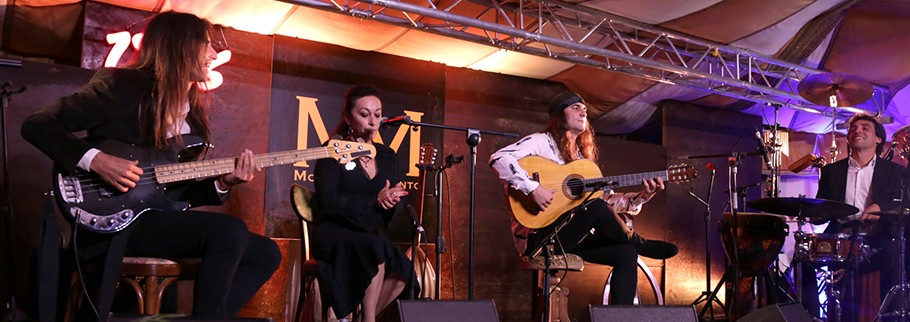 flamenco-andalucia